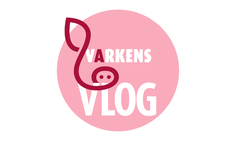 Dierenarts Marc vlogt over PRRS