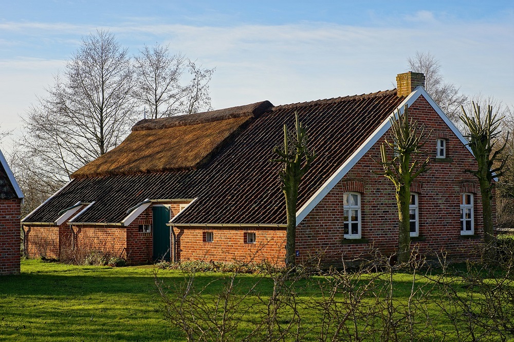 Jonge agrariërs schrijven manifest met hun toekomstvisie