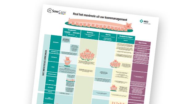 poster ongedierte varkensbedrijf