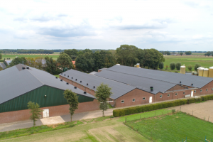 Een koele stal in de zomer