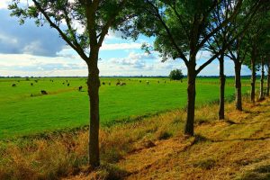 (Ont)spanning over stikstofplannen