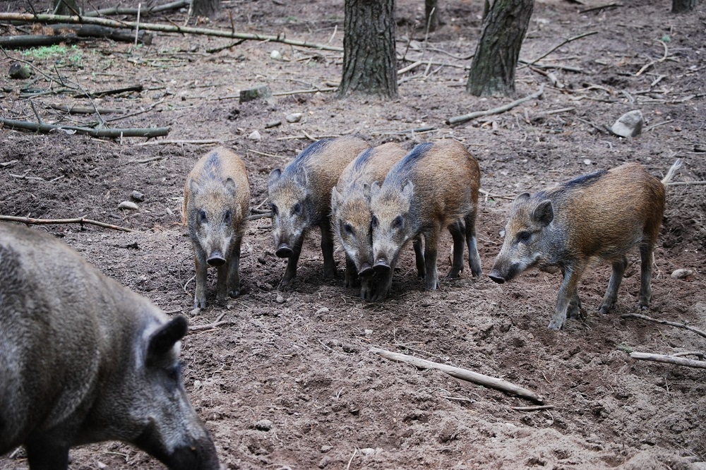 Waarschuwingsborden