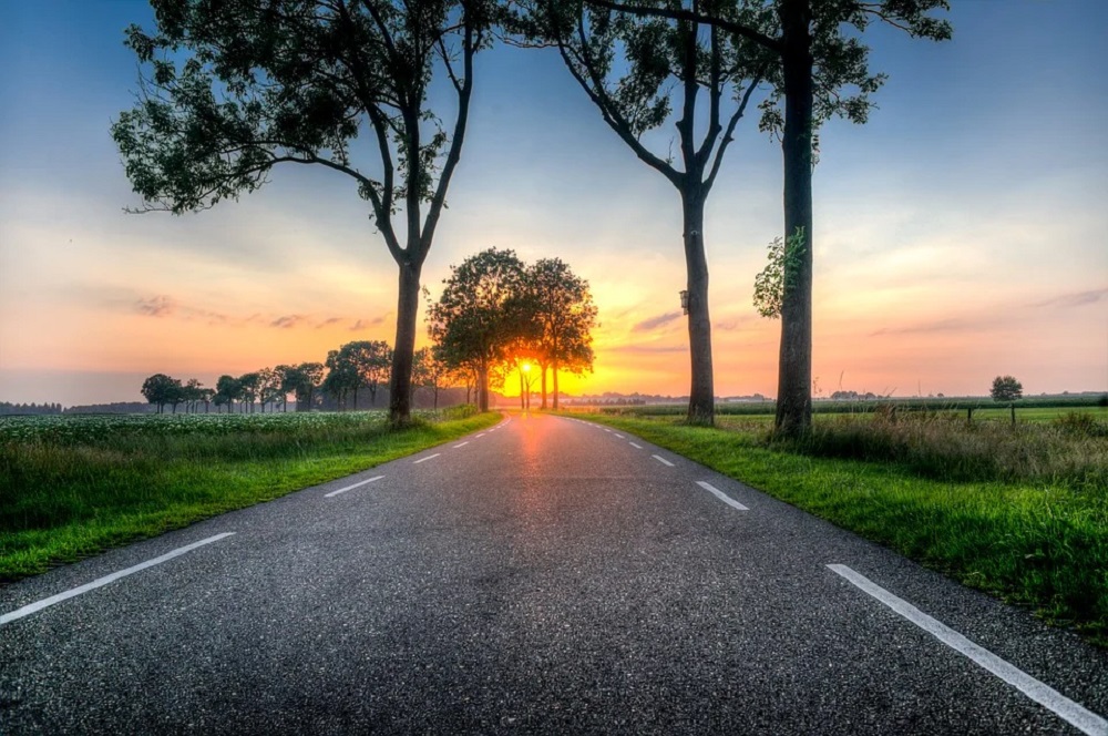 Nederlanders waarderen het om in het agrarisch landschap te wonen en 85 procent van de Nederlanders wil het agrarisch landschap behouden. Tegelijkertijd onderschatten Nederlanders flink hoeveel van het landschap in Nederland wordt beheerd door boeren en tuinders. Dat blijkt uit onderzoek van DirectResearch onder 1.038 Nederlanders in opdracht van LTO Nederland.