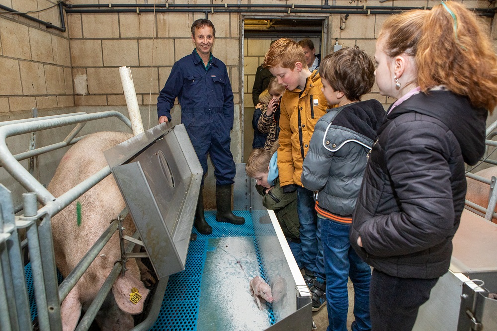 ‘Het stinkt hier niet, het ruikt naar varkens’