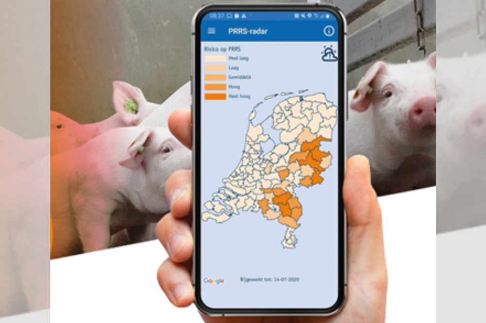 Nieuwe GD-app voorspelt kans op PRRS-uitbraak