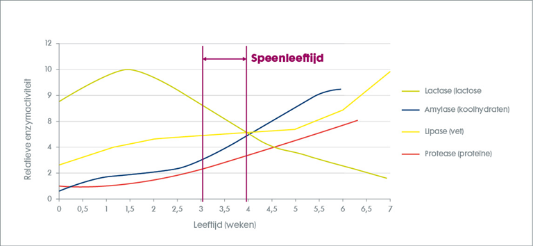 BIGVITAAL steeds vaker ingezet voor homogene tomen