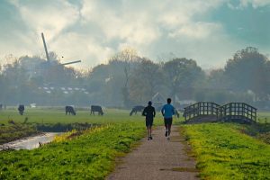 25 miljard voor verwoestend stikstofbeleid zonder doorrekening