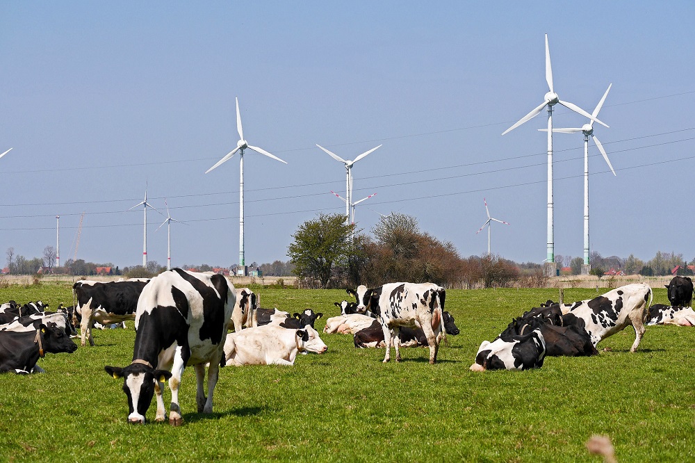 Stikstofplannen kabinet: versnelde transitie naar kringlooplandbouw