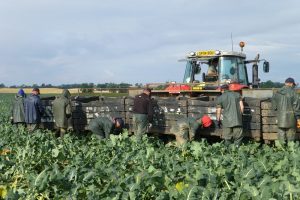 Nieuwe wet per 1 augustus heeft gevolgen voor arbeidsovereenkomst