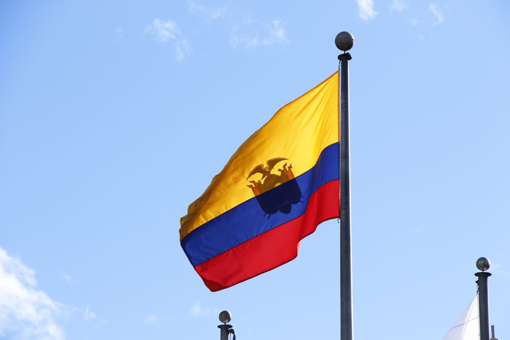 Nieuwe varkensziekte in Ecuador?