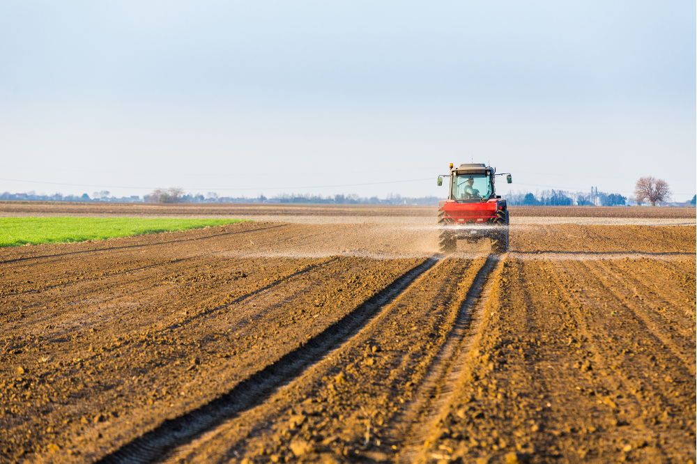 Stikstofoverschot landbouw op zijn laagst sinds 2014