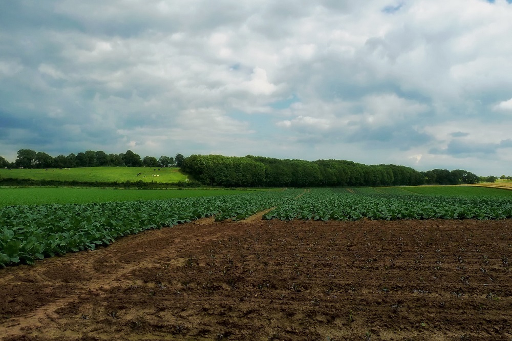 Wegstemmen moties Landbouwakkoord gemiste kans