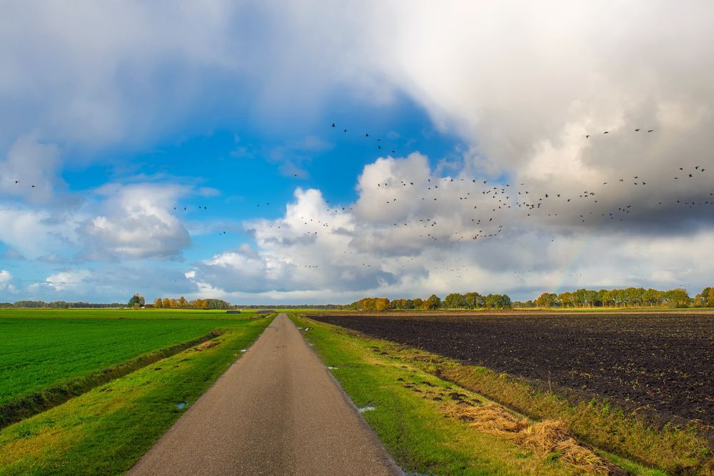 Subsidie voor 'De Nieuwe Boerenfamilie'