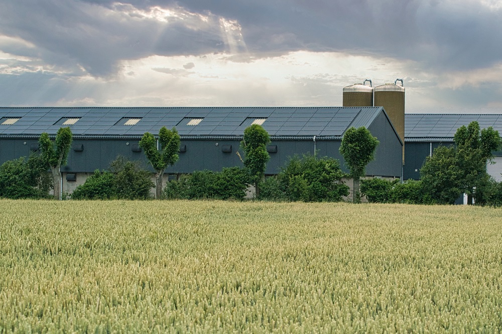 Ondermijning steeds groter probleem bij boeren en tuinders