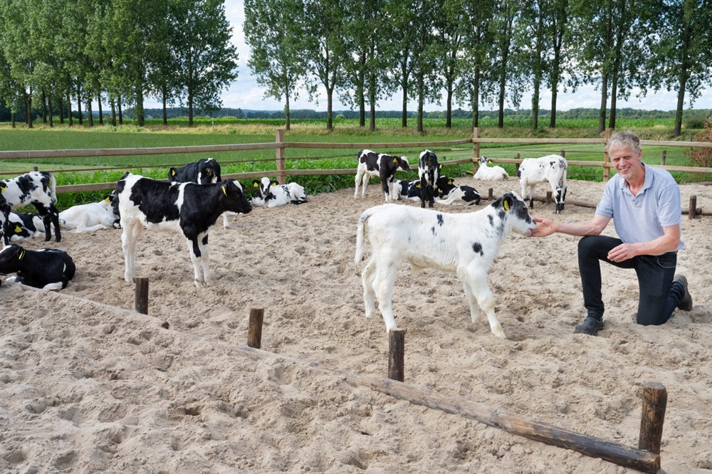 Vernieuwen op het boerenerf in de Achterhoek & Liemers