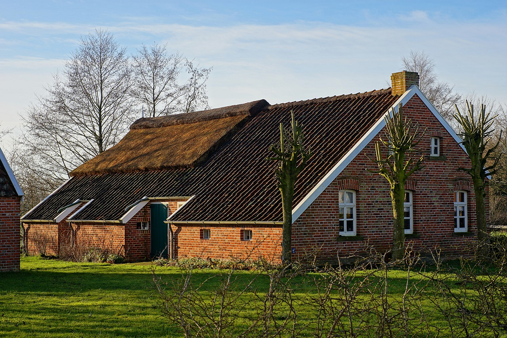 Faunaschade op Overijsselse natuurpercelen niet langer vergoed