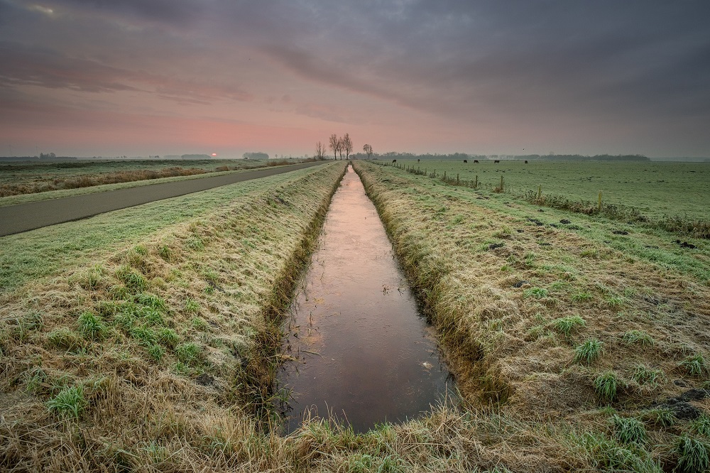 Biologische landbouw: niet alleen ‘omschakelaars’ verdienen steun