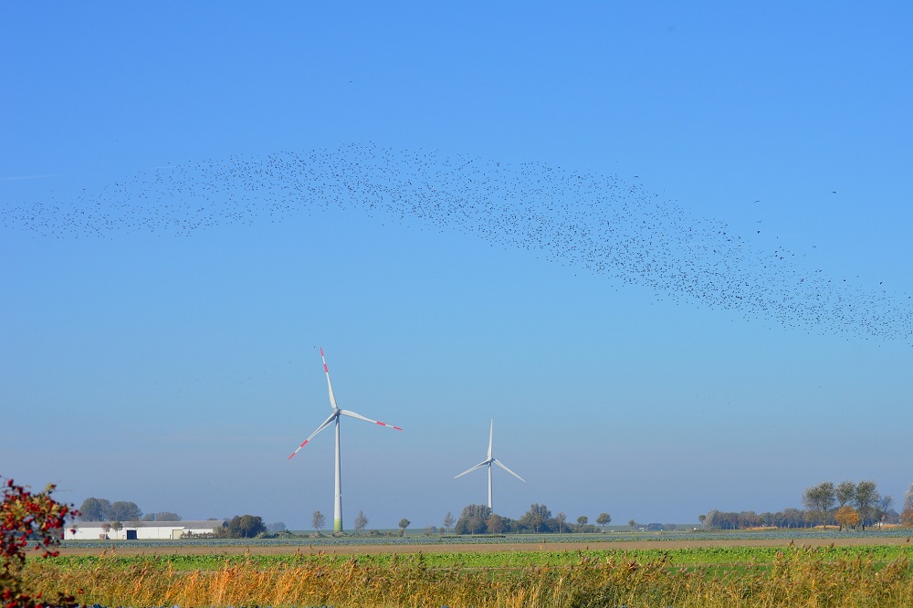 Economisch belang van agrofood sector verdient meer erkenning