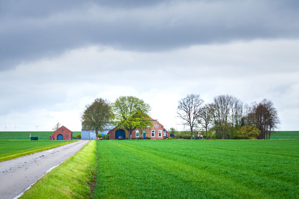 Webinar: agrarische bedrijfsbeëindiging en nieuwe start