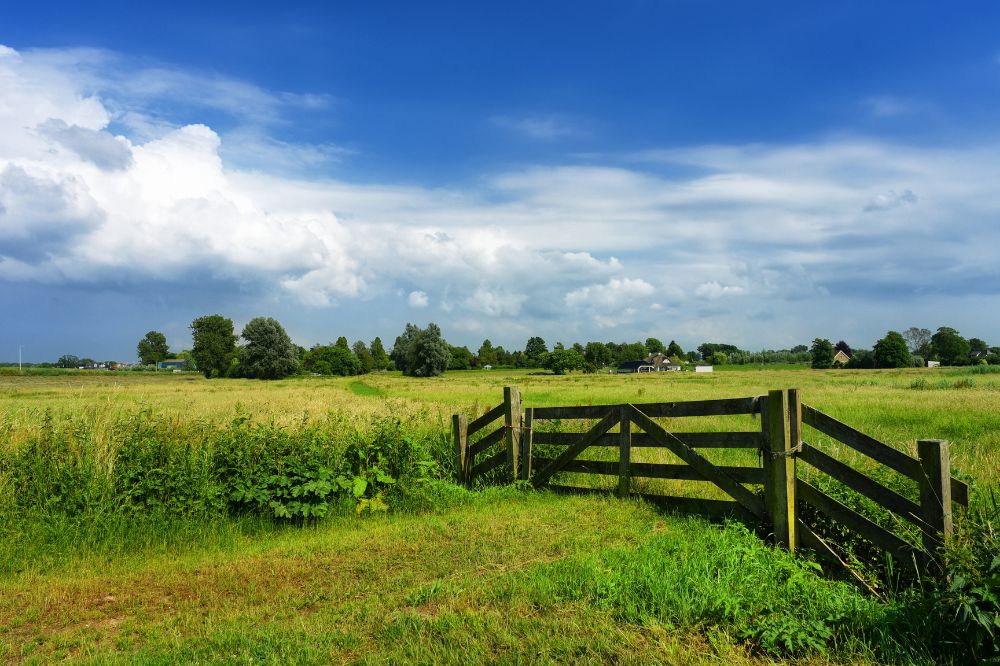 De kracht van regeneratieve landbouwmethoden